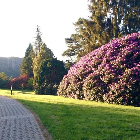 Ferienwohnung Am Gruenbach Rathen Zewnętrze zdjęcie