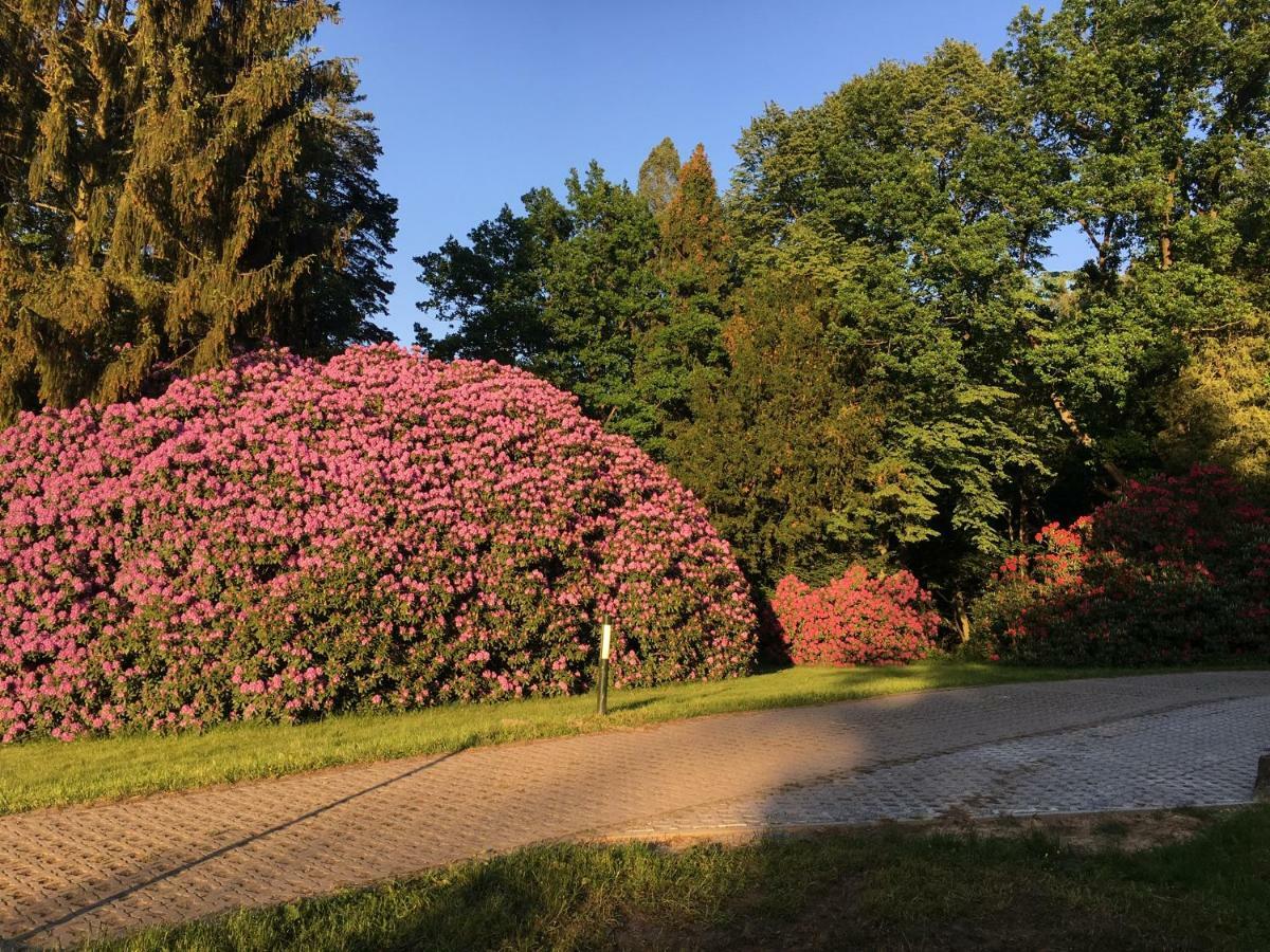 Ferienwohnung Am Gruenbach Rathen Zewnętrze zdjęcie