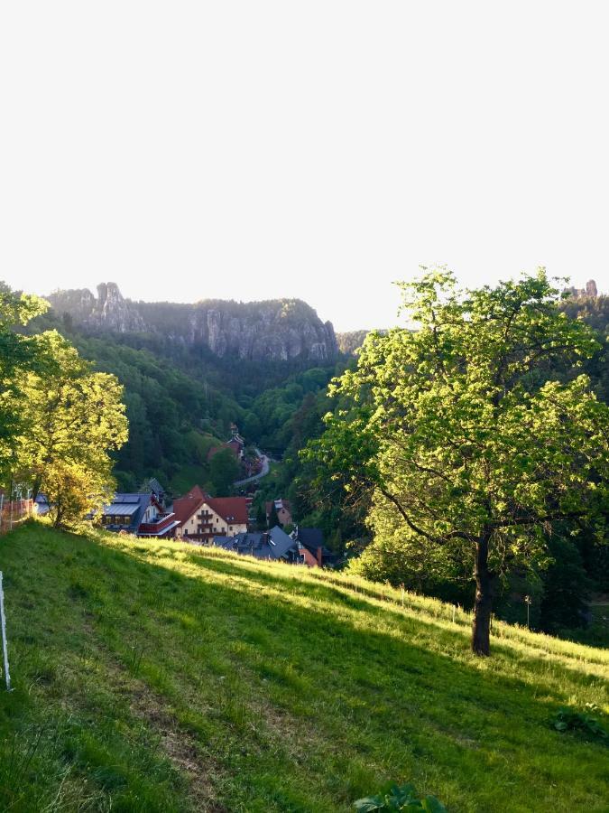 Ferienwohnung Am Gruenbach Rathen Zewnętrze zdjęcie